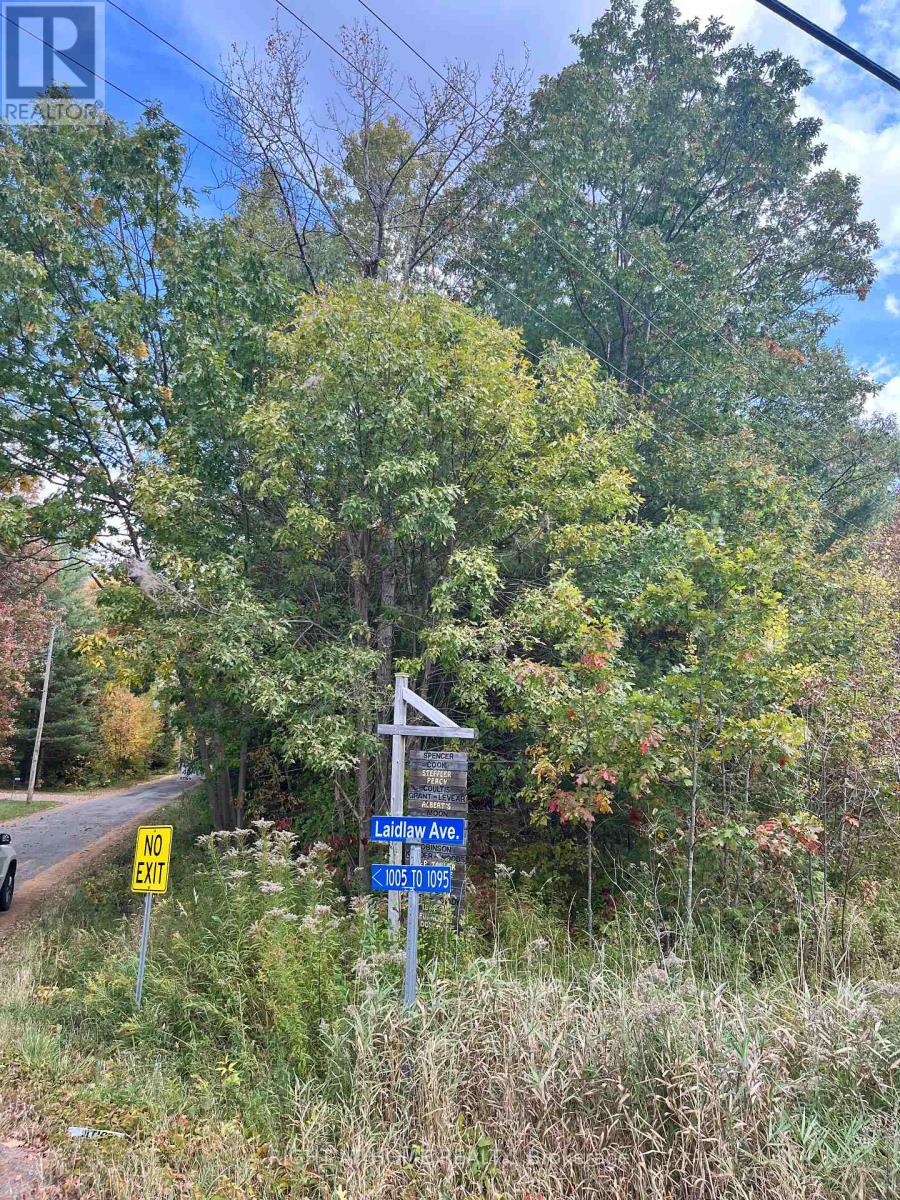 Lt 17 Laidlaw Avenue, Gravenhurst, Ontario  P1P 1J4 - Photo 16 - X13867482