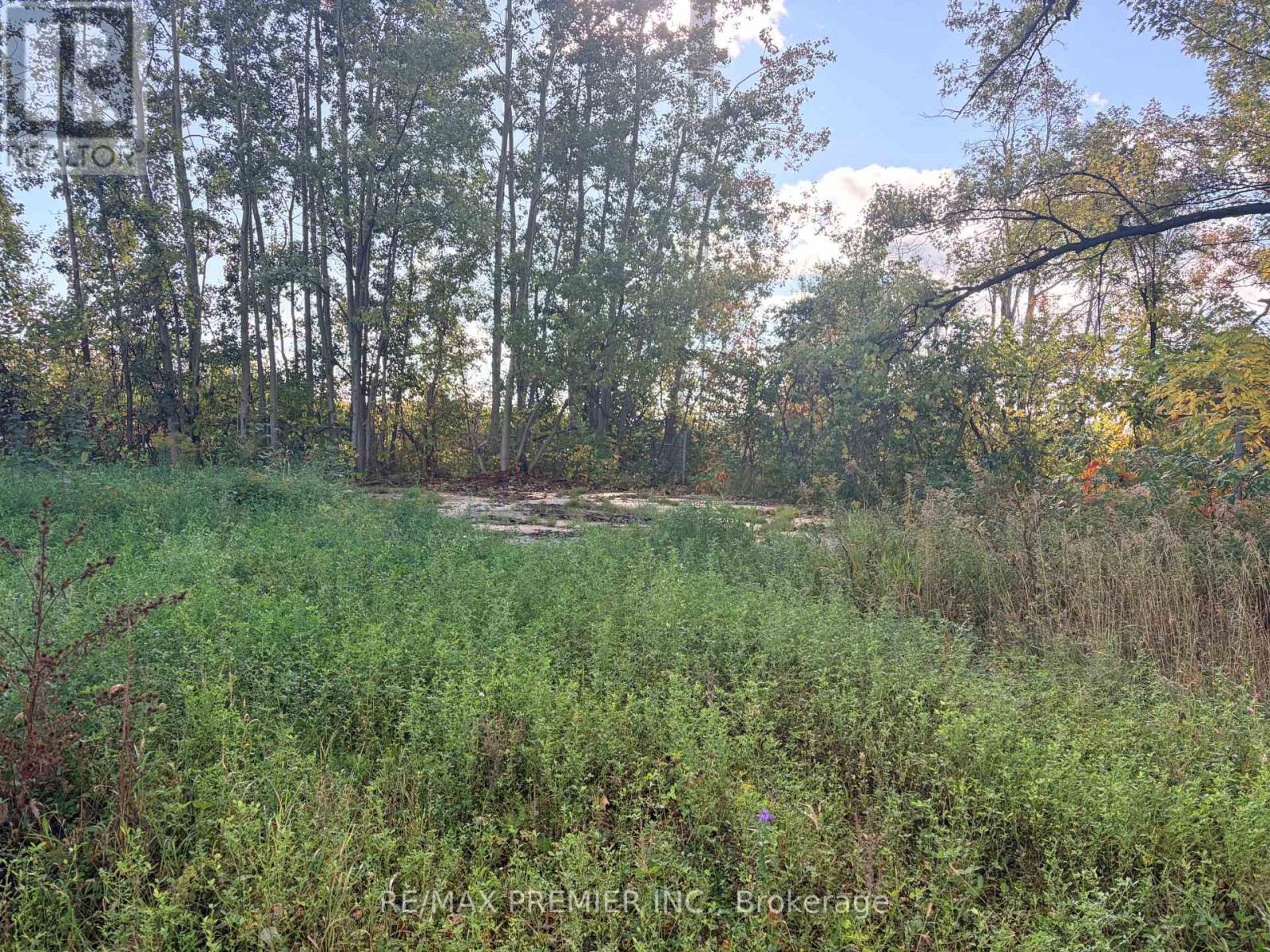 8665 Hwy 11, Severn (West Shore), Ontario  L3V 6H3 - Photo 4 - S13877686