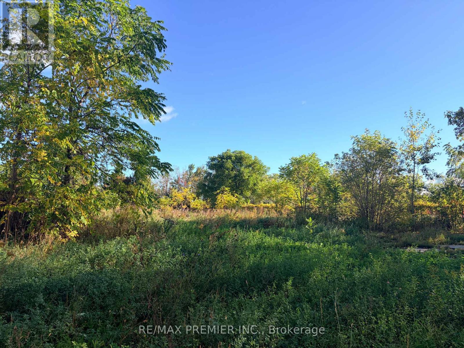 8665 Hwy 11, Severn (West Shore), Ontario  L3V 6H3 - Photo 7 - S13877686