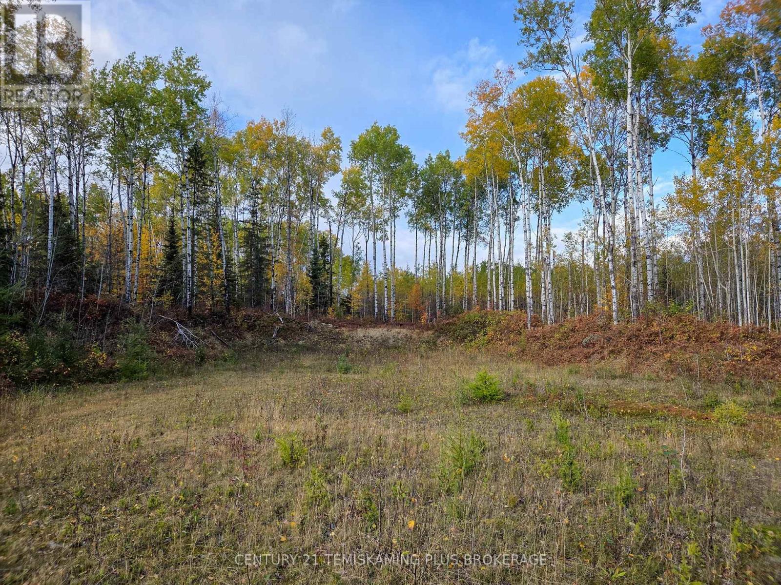 Shalf Lt 6 Con 2 Day Mar Road, Englehart, Ontario  P0J 1H0 - Photo 28 - T13855360