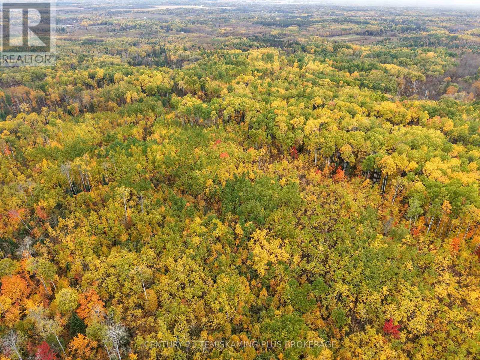 Shalf Lt 6 Con 2 Day Mar Road, Englehart, Ontario  P0J 1H0 - Photo 40 - T13855360