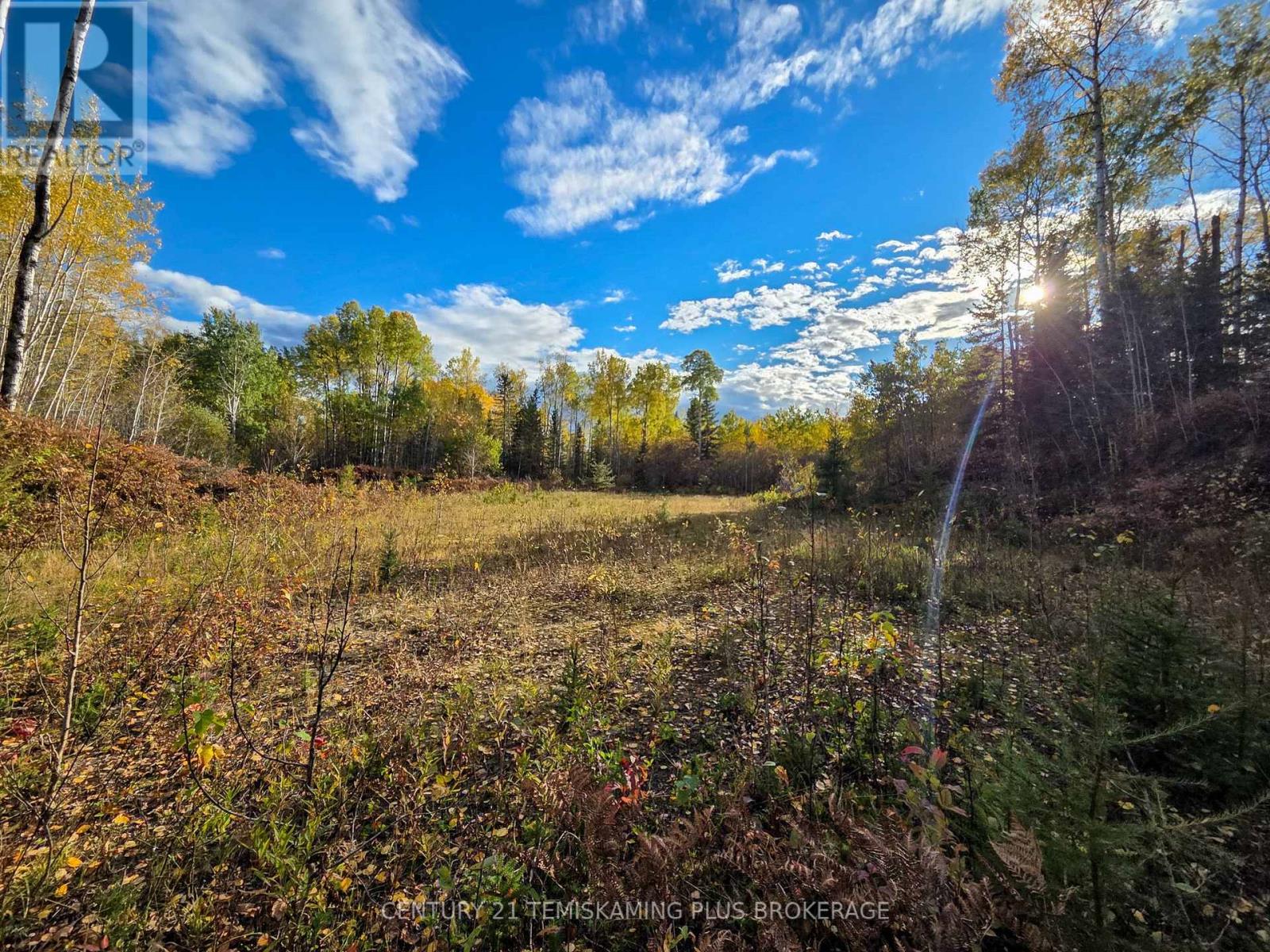 Shalf Lt 6 Con 2 Day Mar Road, Englehart, Ontario  P0J 1H0 - Photo 29 - T13855360