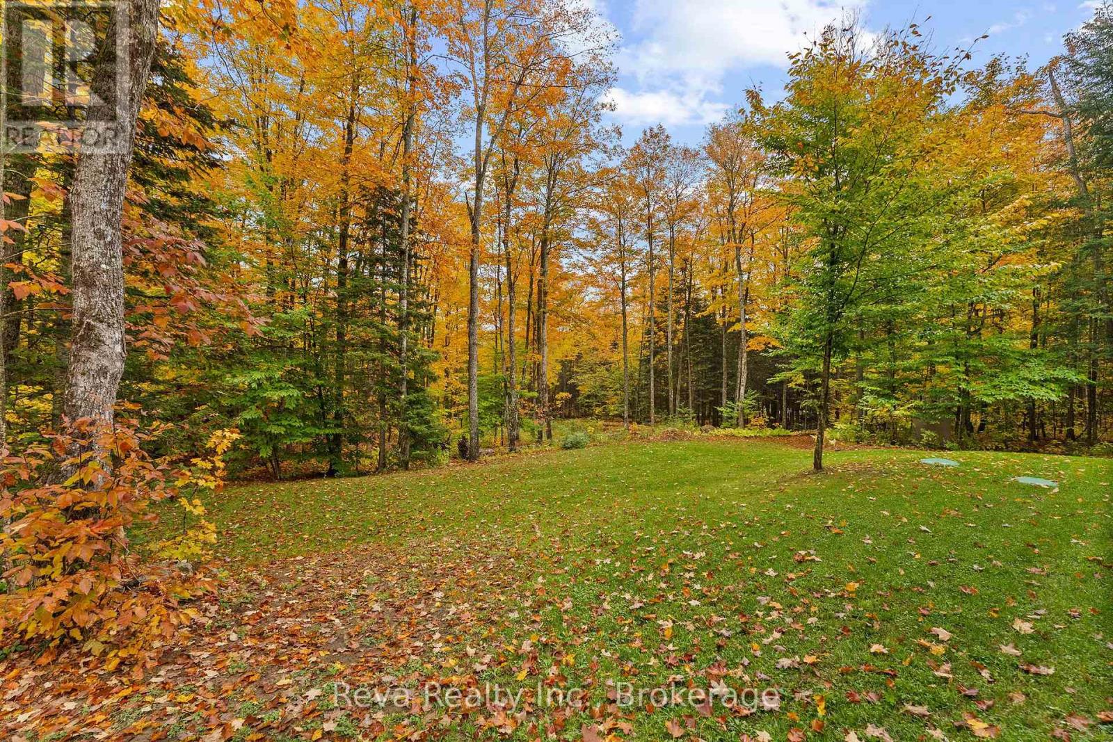 595 Old Diamond Lake Road, Hastings Highlands, Ontario  K0L 1C0 - Photo 31 - X13877974
