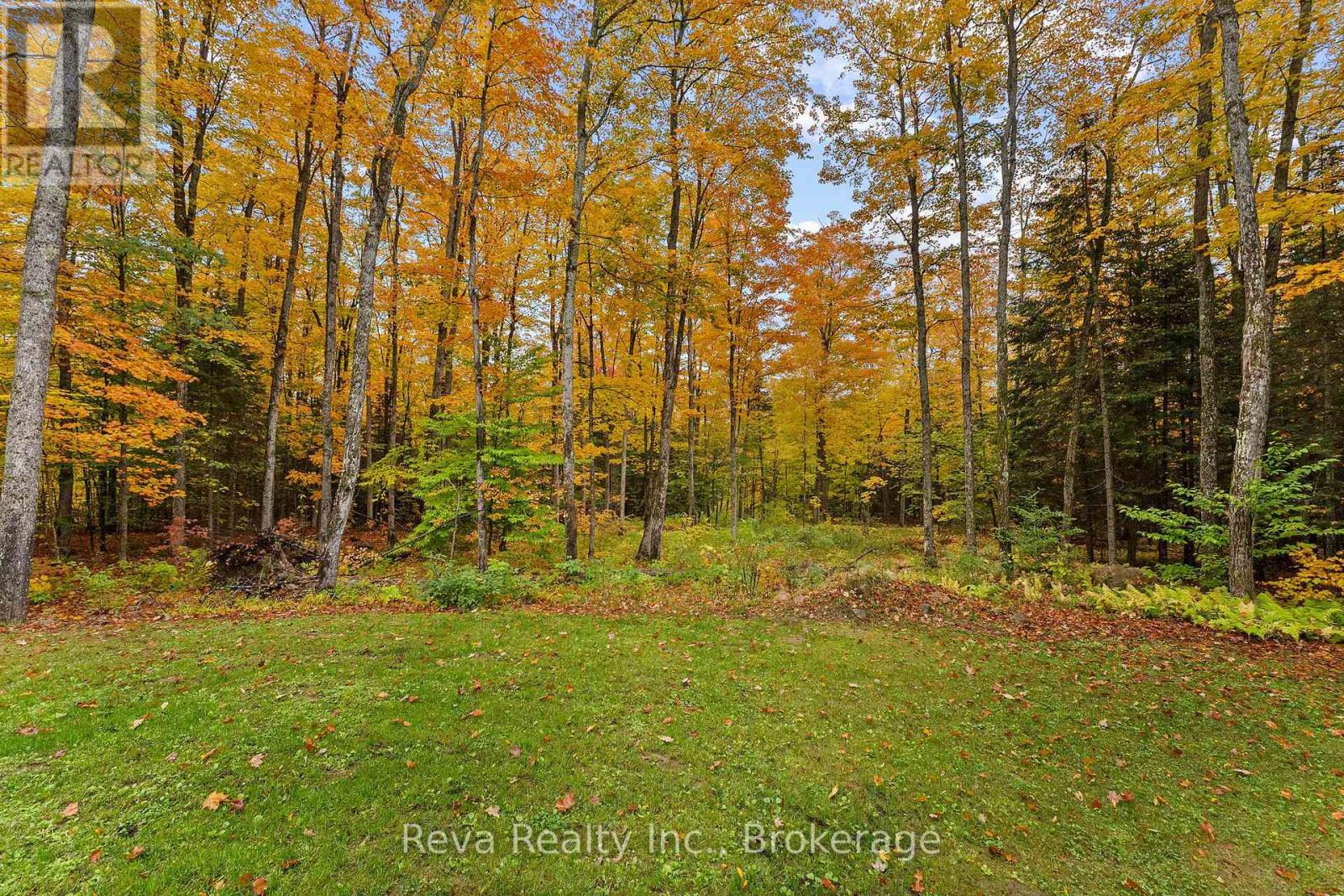 595 Old Diamond Lake Road, Hastings Highlands, Ontario  K0L 1C0 - Photo 32 - X13877974