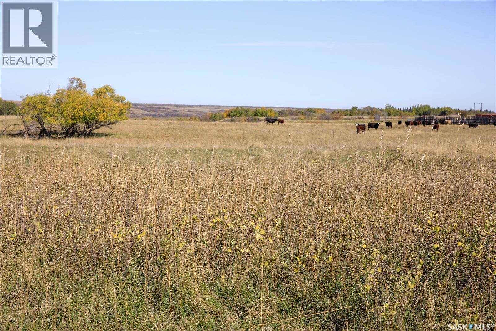 Outlook 258 Acres, Rudy Rm No. 284, Saskatchewan  S0L 2N0 - Photo 20 - SK050596