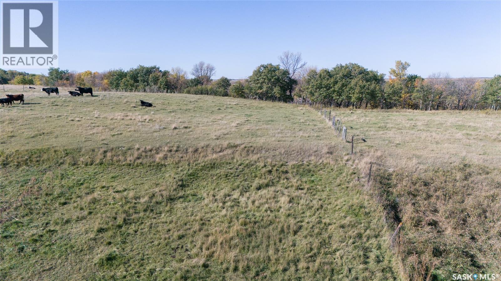 Outlook 258 Acres, Rudy Rm No. 284, Saskatchewan  S0L 2N0 - Photo 26 - SK050596