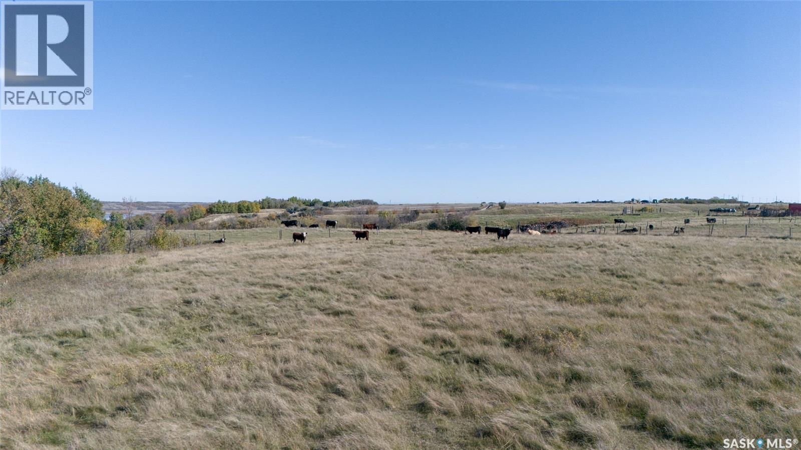 Outlook 258 Acres, Rudy Rm No. 284, Saskatchewan  S0L 2N0 - Photo 28 - SK050596