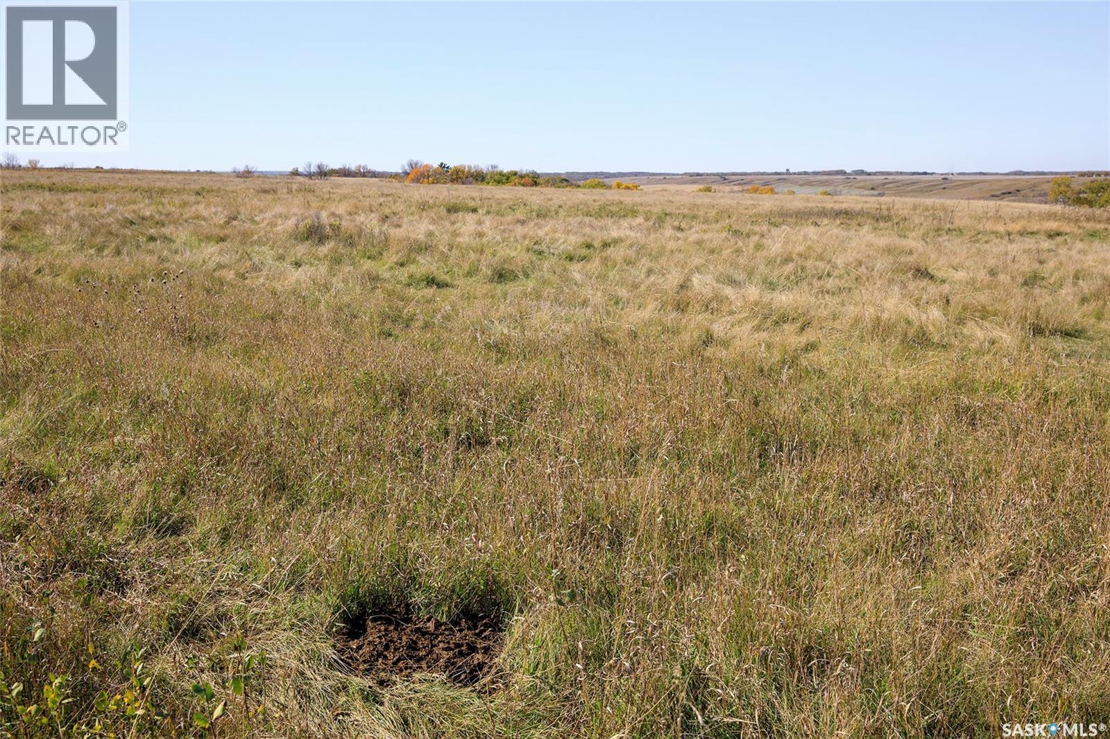 Outlook 258 Acres, Rudy Rm No. 284, Saskatchewan  S0L 2N0 - Photo 31 - SK050596