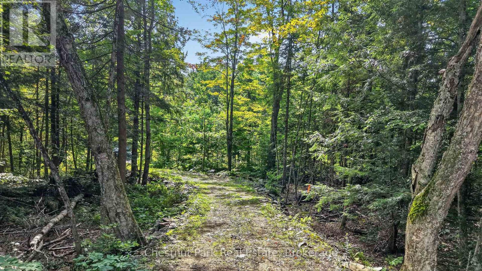 1112 Falkenburg Road, Bracebridge, Ontario P1L 1X4 - Photo 3 - X13877826