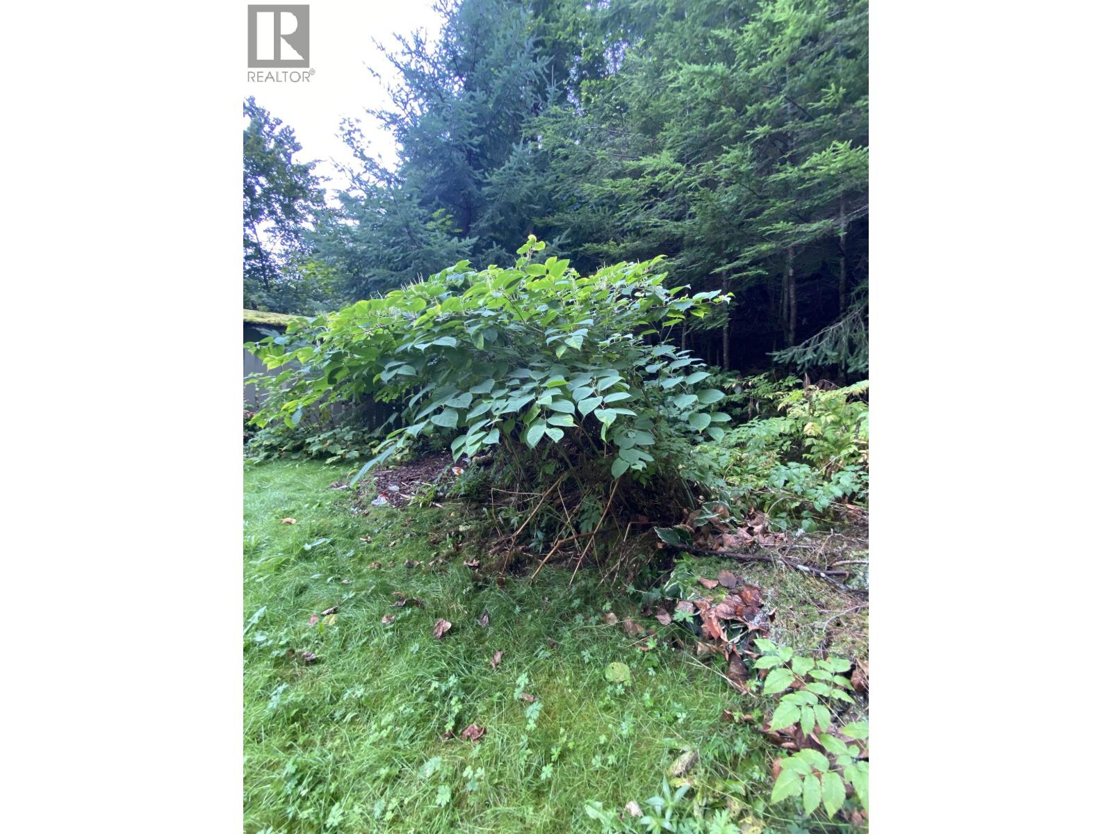 3927 Crescentview Avenue, Terrace, British Columbia  V8G 3V9 - Photo 32 - R3173814
