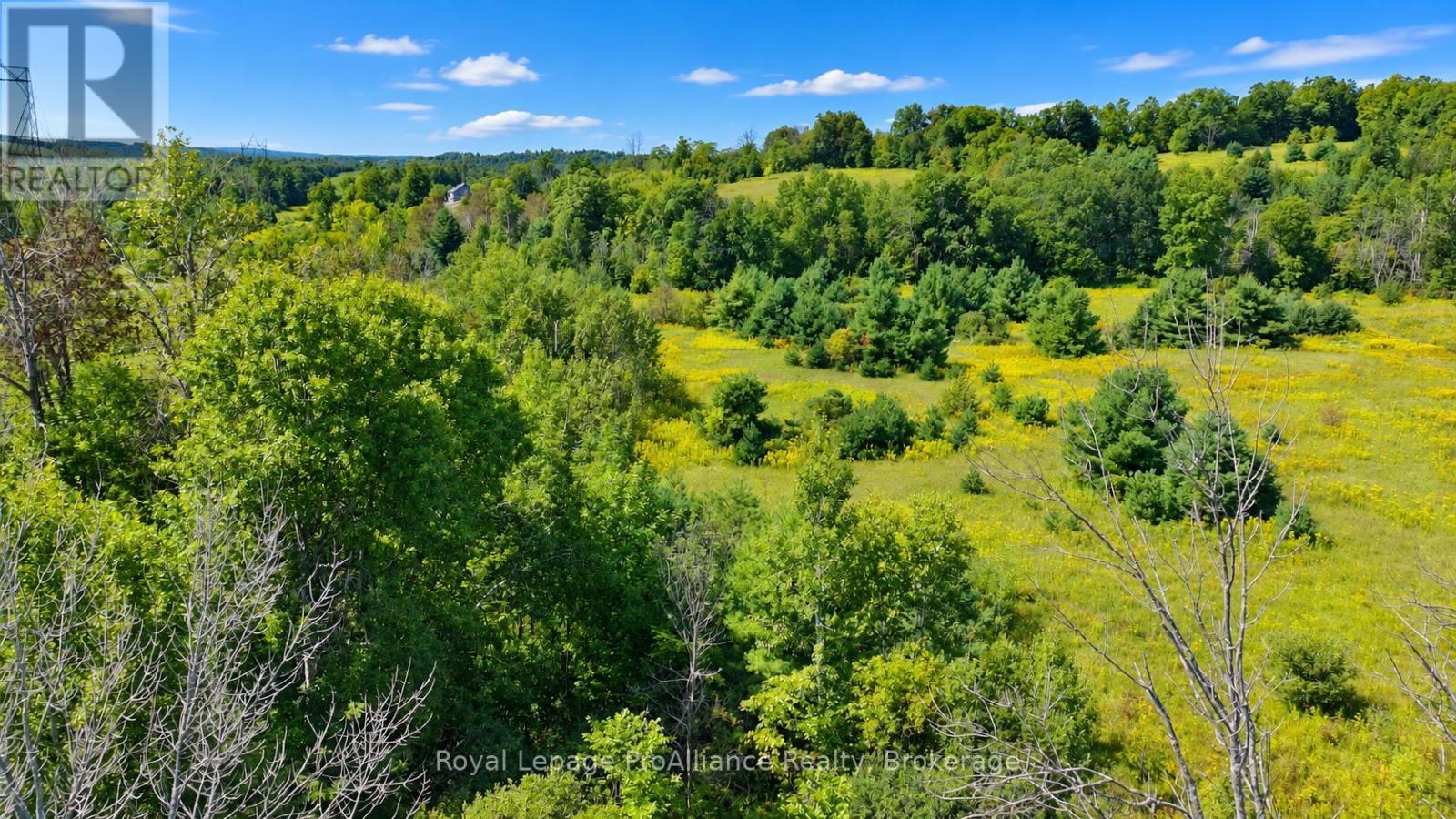0 Campbell Road, Trent Hills, Ontario K0K 3K0 - Photo 10 - X13878050