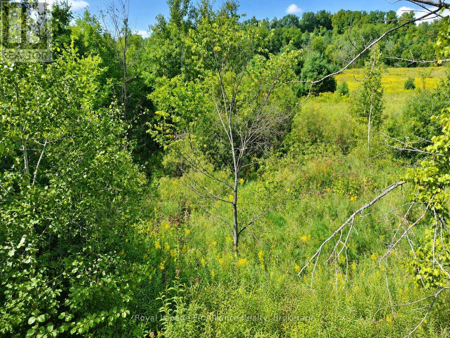 0 Campbell Road, Trent Hills, Ontario K0K 3K0 - Photo 15 - X13878050