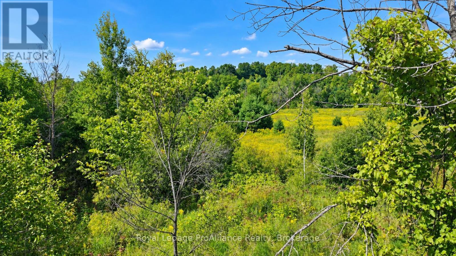 0 Campbell Road, Trent Hills, Ontario K0K 3K0 - Photo 16 - X13878050