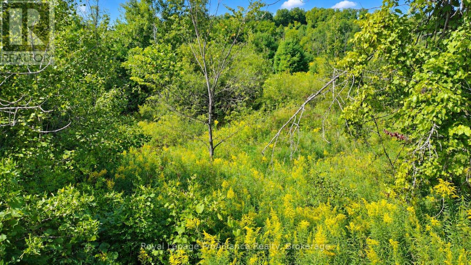 0 Campbell Road, Trent Hills, Ontario K0K 3K0 - Photo 17 - X13878050