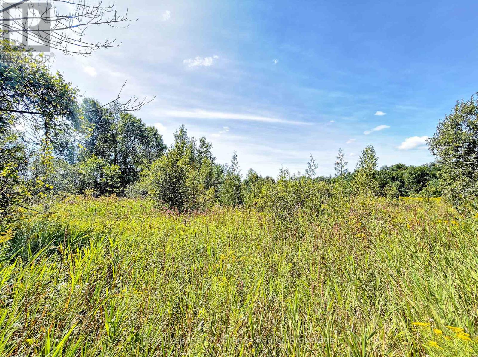 0 Campbell Road, Trent Hills, Ontario K0K 3K0 - Photo 6 - X13878050