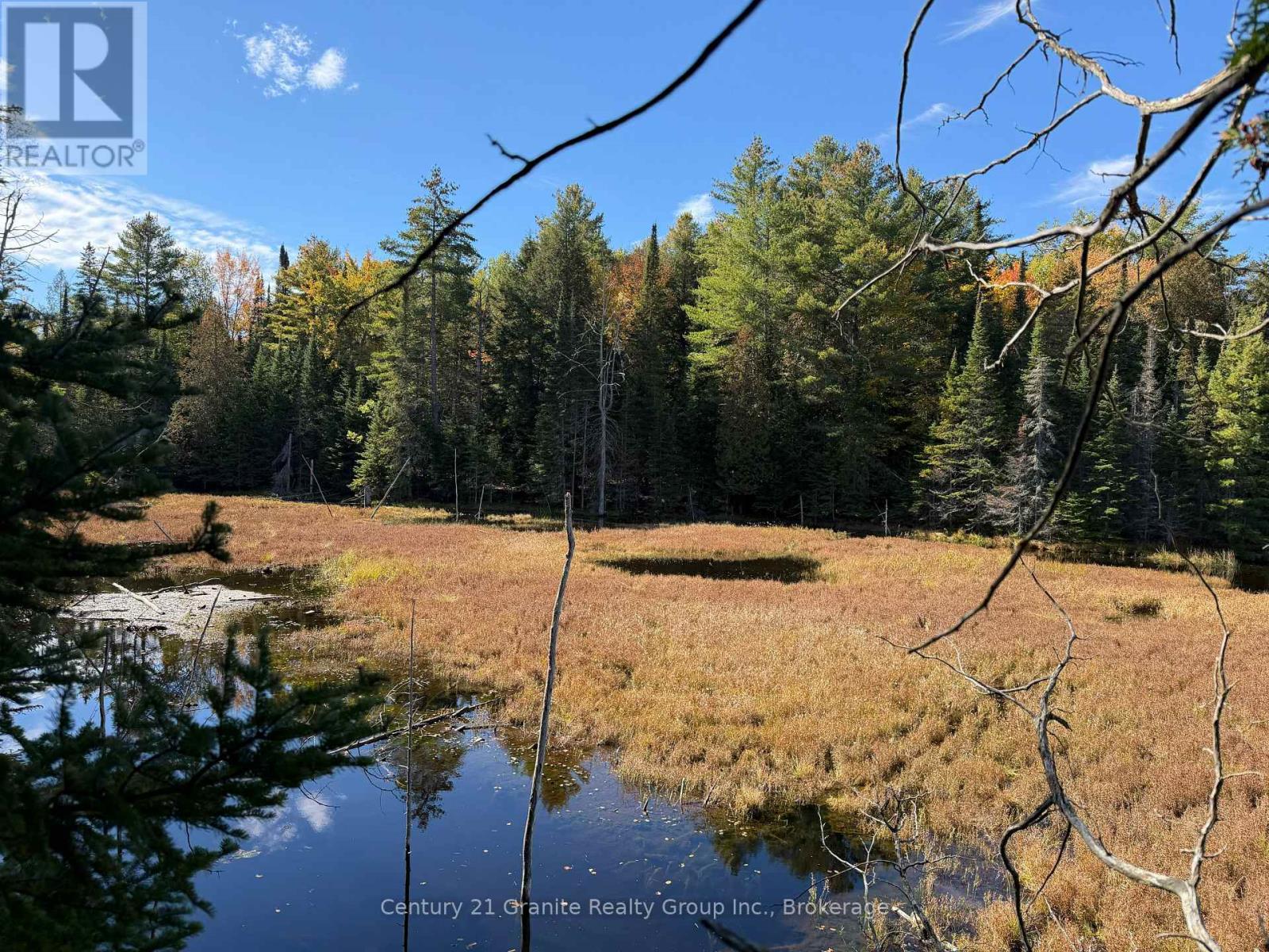 00 Kushog Lake Road, Algonquin Highlands, Ontario K0M 1S0 - Photo 16 - X13862886