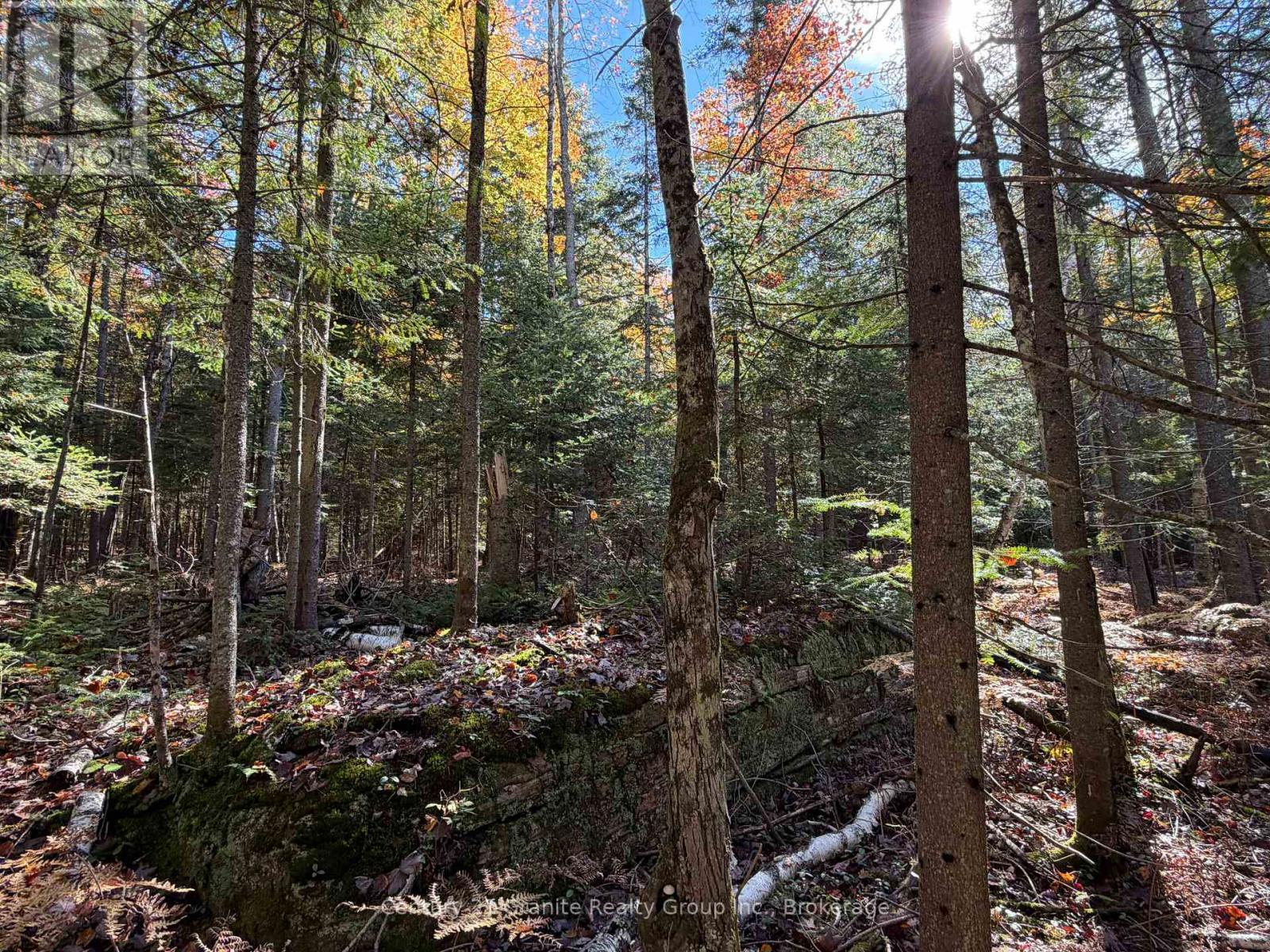 00 Kushog Lake Road, Algonquin Highlands, Ontario K0M 1S0 - Photo 22 - X13862886