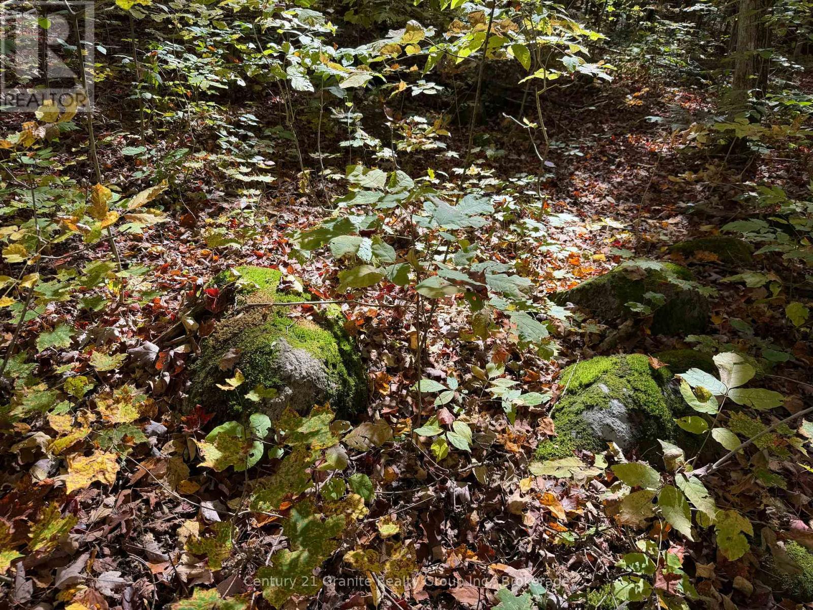 00 Kushog Lake Road, Algonquin Highlands, Ontario K0M 1S0 - Photo 32 - X13862886