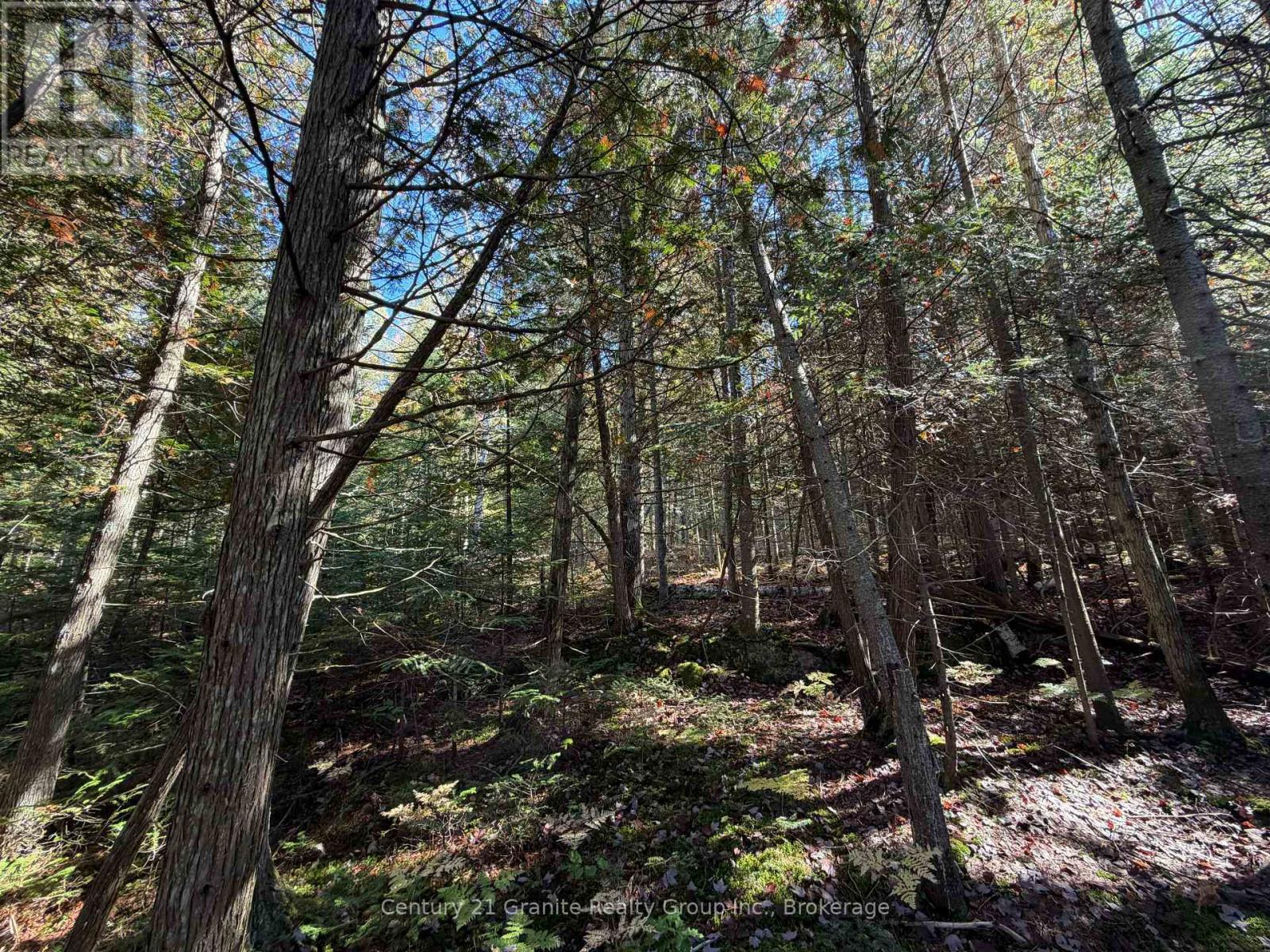 00 Kushog Lake Road, Algonquin Highlands, Ontario K0M 1S0 - Photo 24 - X13862886