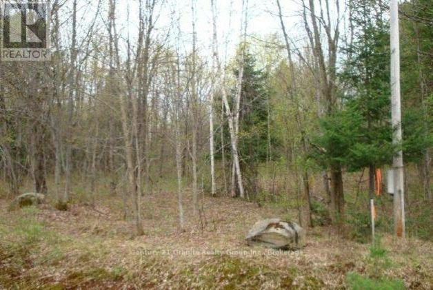00 Kushog Lake Road, Algonquin Highlands, Ontario K0M 1S0 - Photo 17 - X13862886