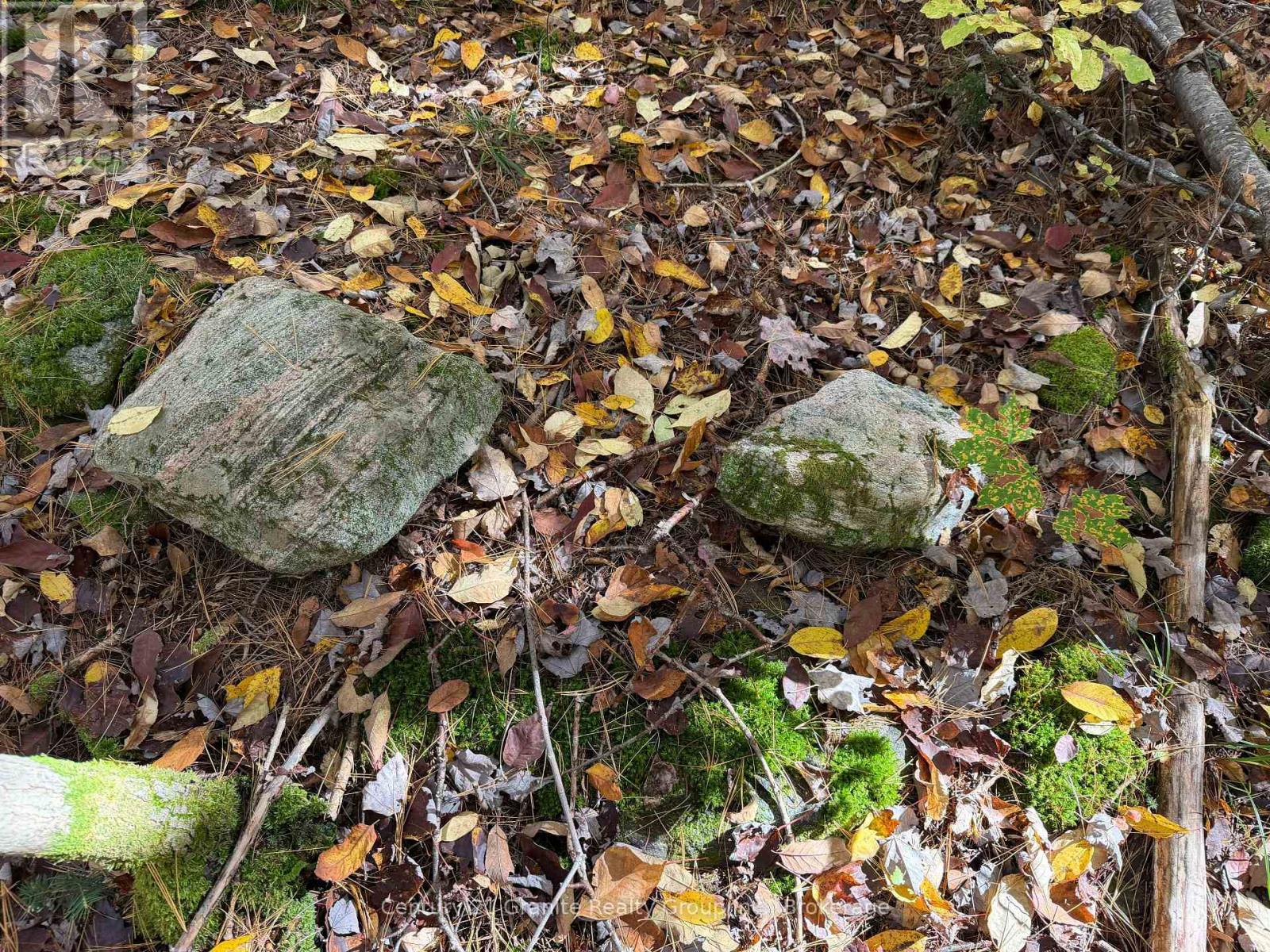 00 Kushog Lake Road, Algonquin Highlands, Ontario K0M 1S0 - Photo 29 - X13862886