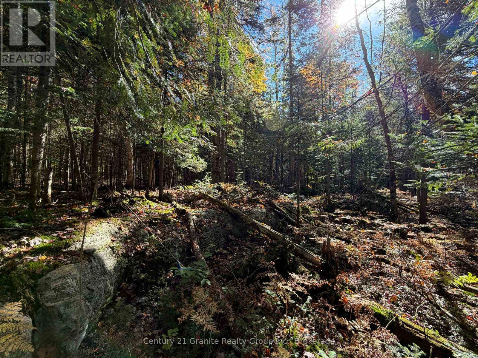 00 Kushog Lake Road, Algonquin Highlands, Ontario K0M 1S0 - Photo 19 - X13862886