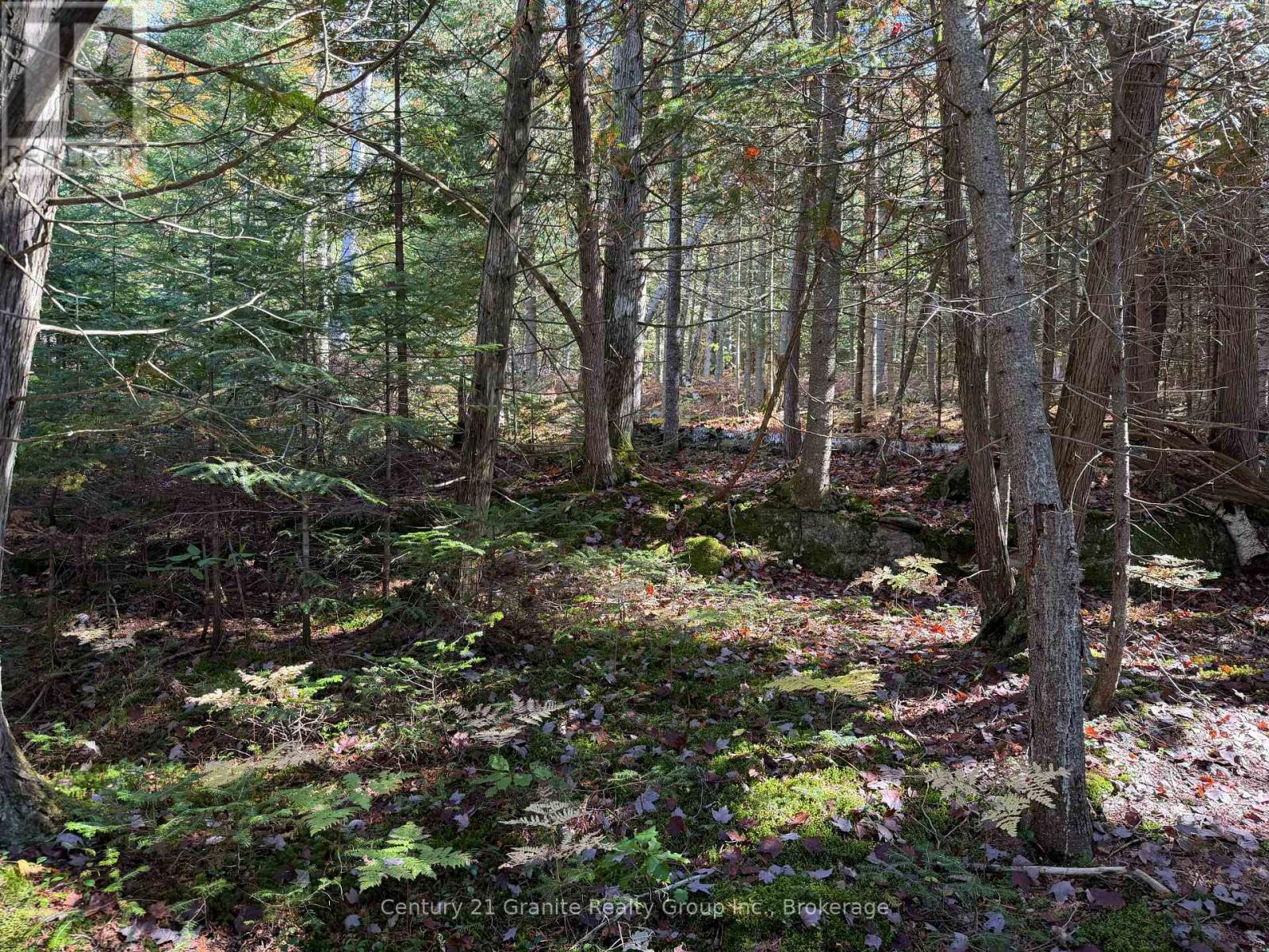 00 Kushog Lake Road, Algonquin Highlands, Ontario K0M 1S0 - Photo 23 - X13862886