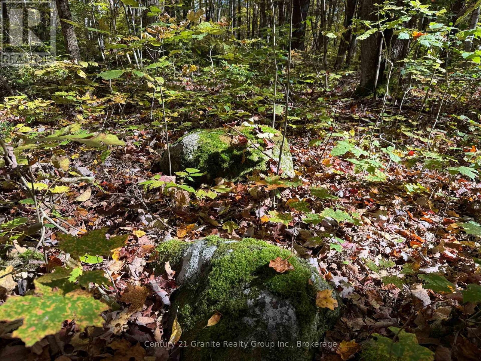 00 Kushog Lake Road, Algonquin Highlands, Ontario K0M 1S0 - Photo 25 - X13862886