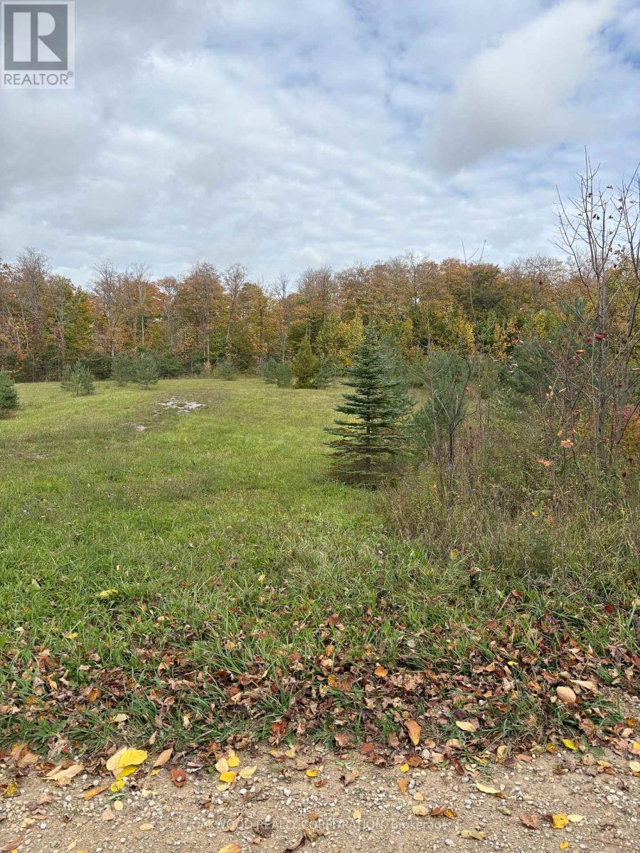 0 Side Road 60, Chatsworth, Ontario  N0C 1H0 - Photo 4 - X13864850
