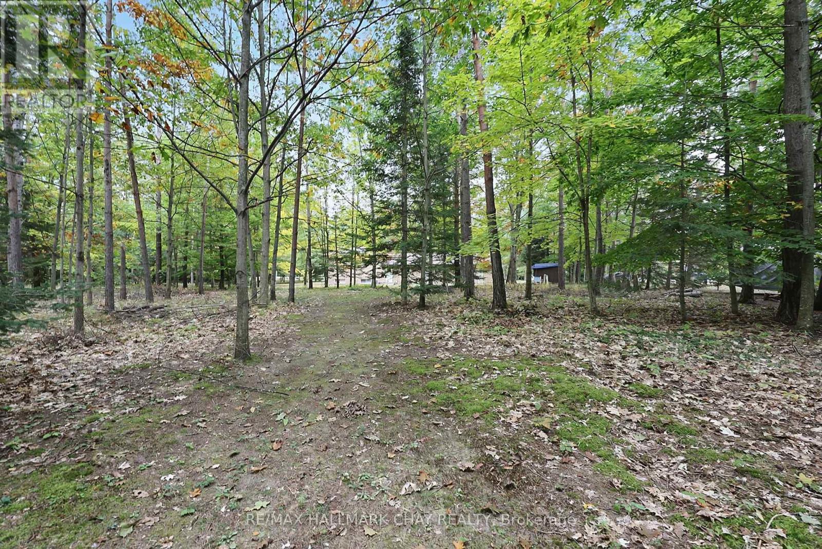 4 Binnie Drive, Springwater, Ontario  L9X 0C4 - Photo 24 - S13878354