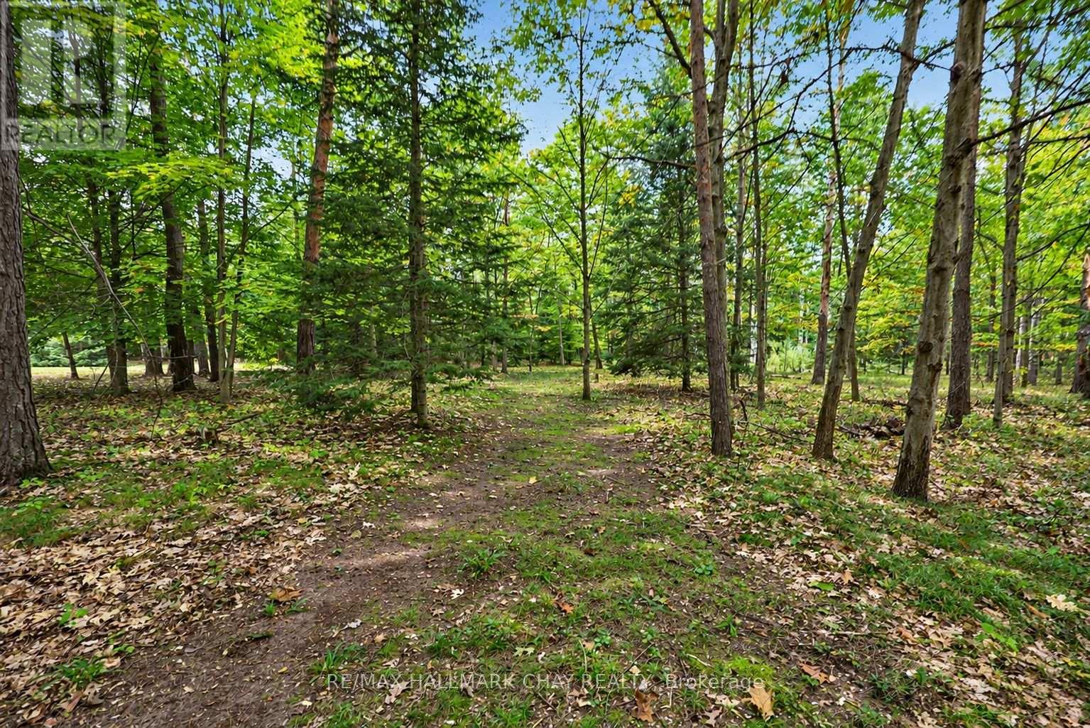 4 Binnie Drive, Springwater, Ontario  L9X 0C4 - Photo 23 - S13878354