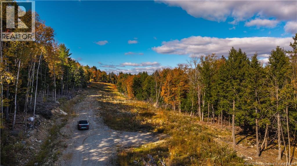Hills Road, Oak Bay, New Brunswick  E3L 4K6 - Photo 20 - NB147981