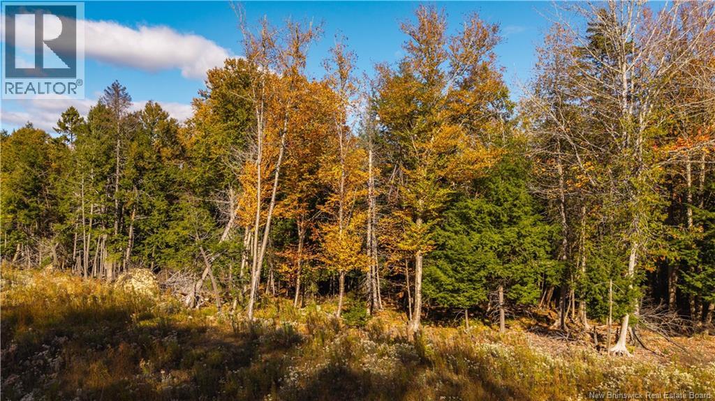 Hills Road, Oak Bay, New Brunswick  E3L 4K6 - Photo 15 - NB147981
