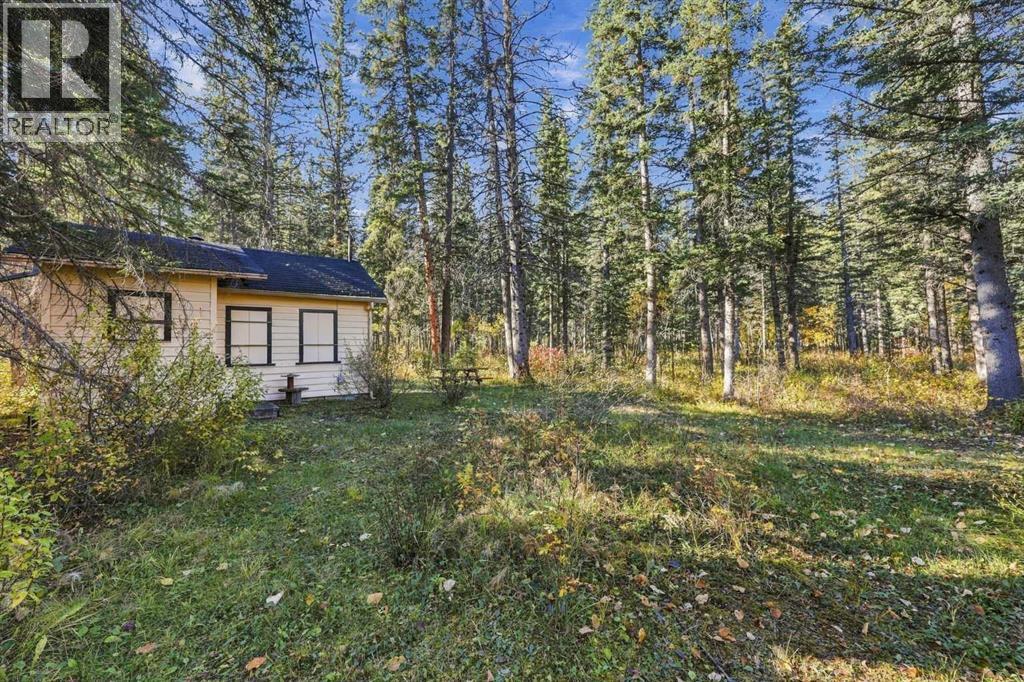 1009 10 Street, Canmore, Alberta  T1W 2A1 - Photo 2 - A2350761
