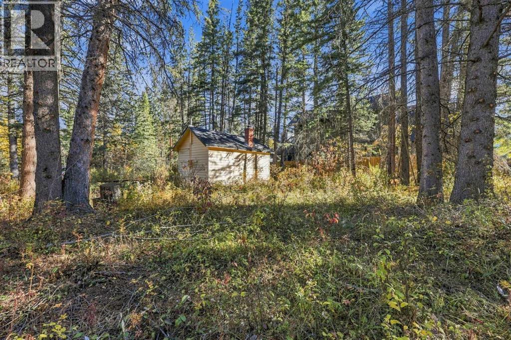 1009 10 Street, Canmore, Alberta  T1W 2A1 - Photo 3 - A2350761