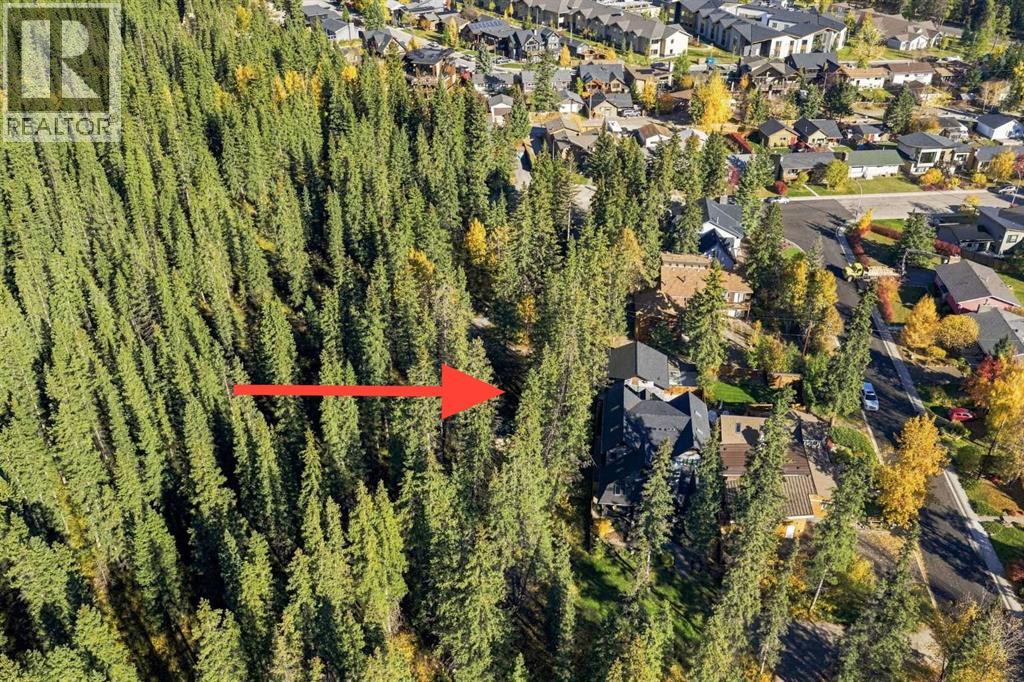 1009 10 Street, Canmore, Alberta  T1W 2A1 - Photo 4 - A2350761