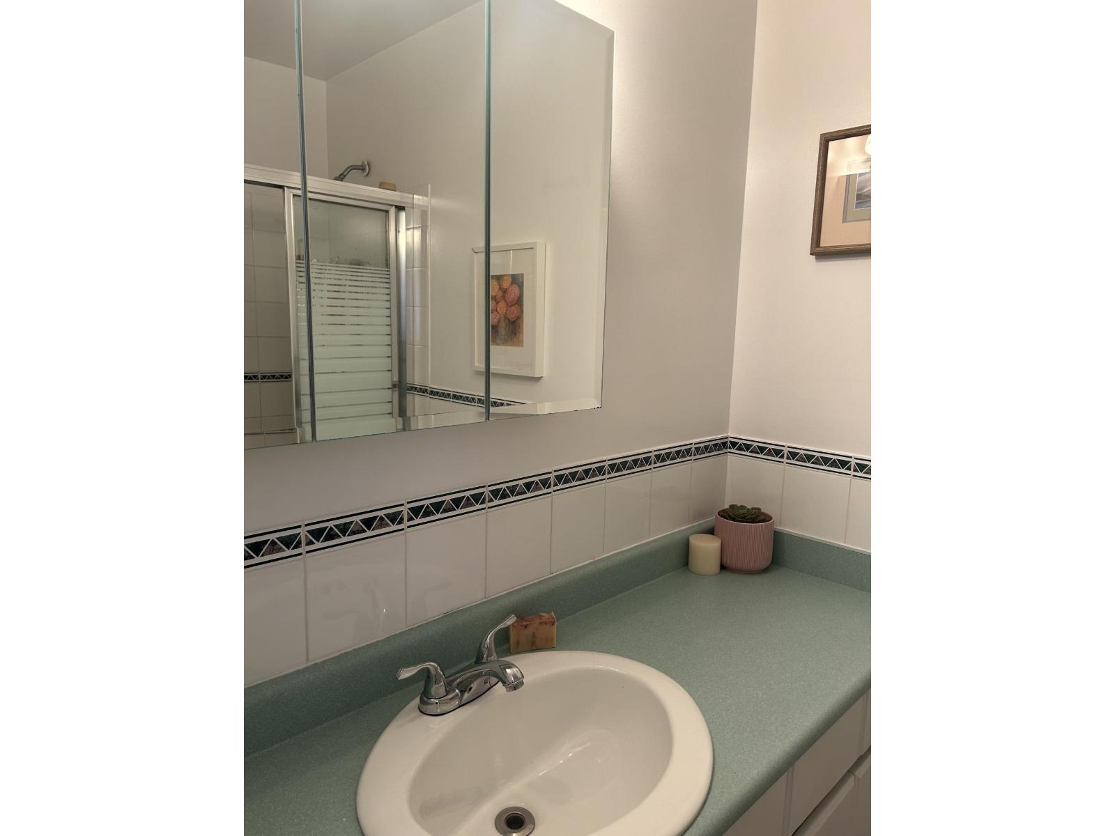 35 5231 204 Street, Langley, British Columbia  V3A 5X1 - Photo 24 - R3171672
