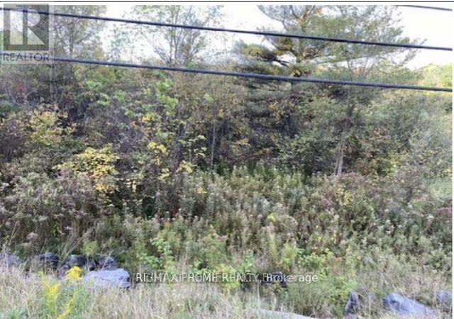 Pt Lt 5 Con 5 Highway 62 Road, Madoc, Ontario  K0K 2K0 - Photo 8 - X13740228