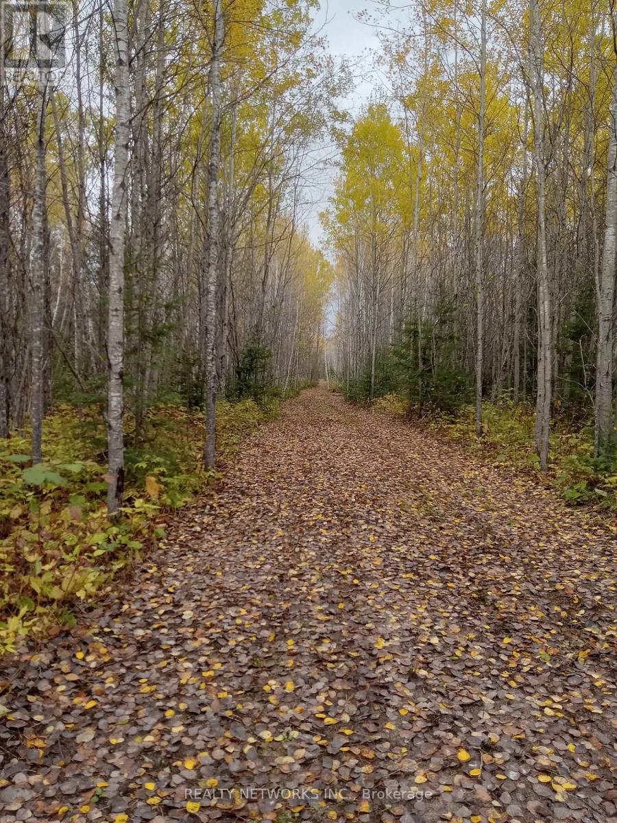 Lot 23 Concession 11 Road, Cochrane, Ontario  P0L 1C0 - Photo 34 - T13694108