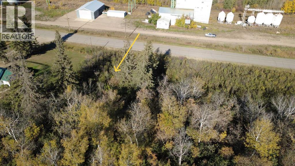 409 Main Street E Paradise Hill Saskatchewan Canada S0M2G0 4
