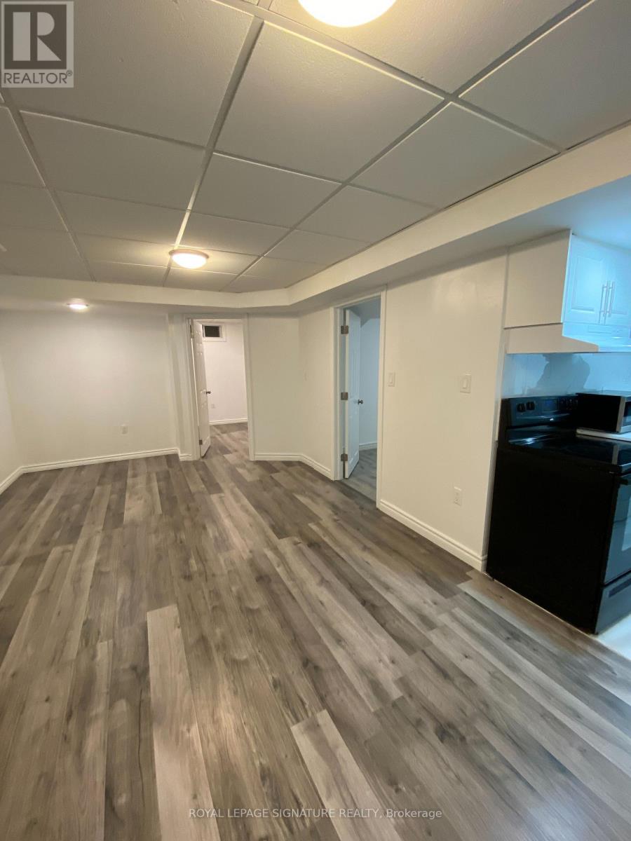 Lower Level - 123 Mildenhall Place, Whitby, Ontario  L1M 0E4 - Photo 5 - E13878902
