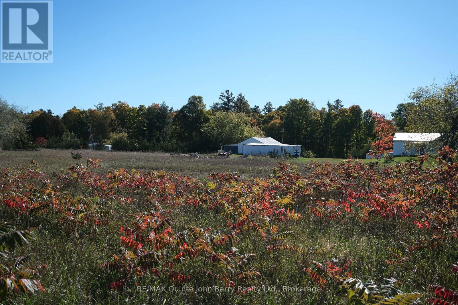 190 Downs Road, Quinte West, Ontario  K8V 5P6 - Photo 35 - X13879002