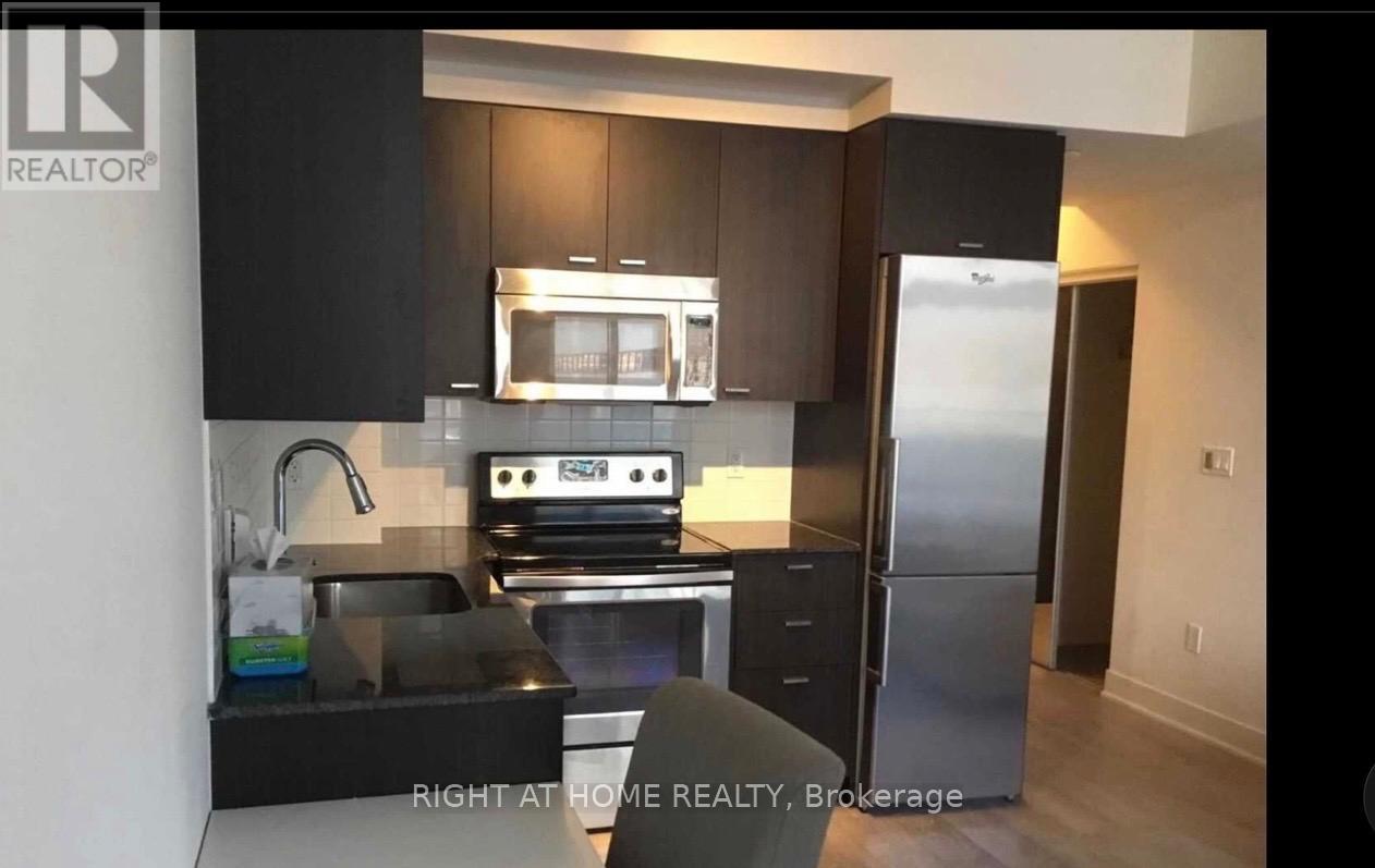 409 - 88 Sheppard Avenue E, Toronto, Ontario  M2N 6Y2 - Photo 6 - C13879140