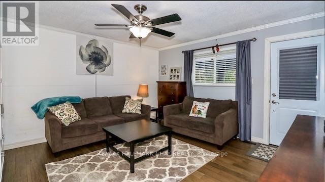 56 Briar Road, Barrie, Ontario  L4N 3M4 - Photo 17 - S13857538
