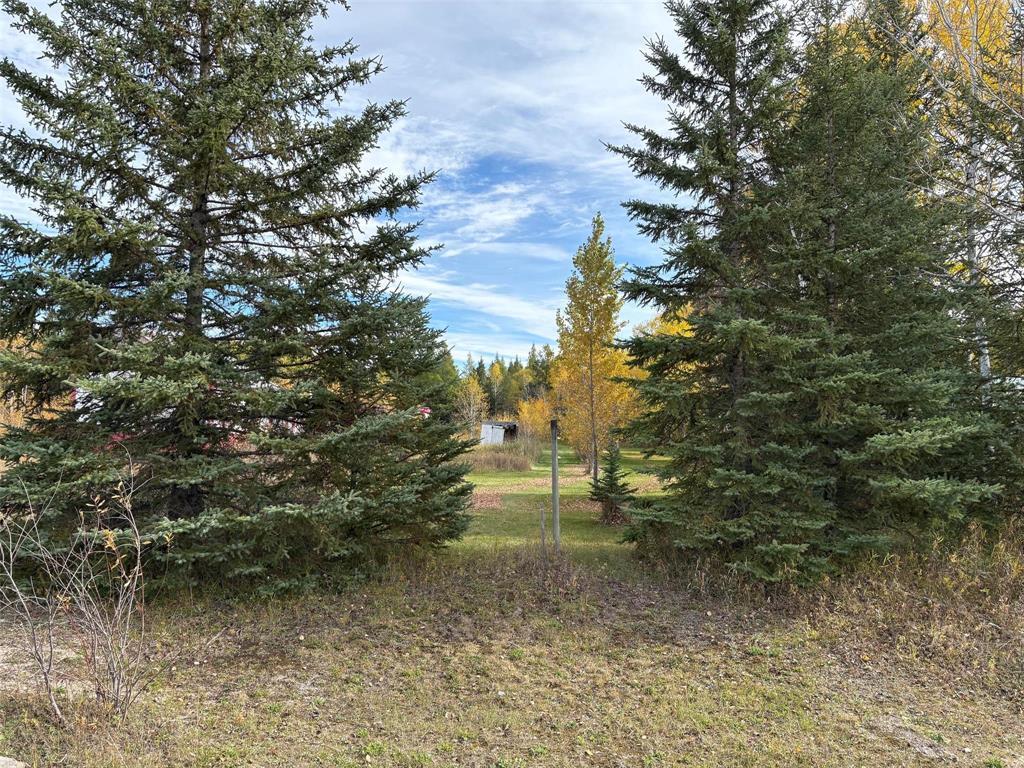 60071 Ducharme Road N, Ste Rita, Manitoba R0E 1X0 - Photo 4 - 202625314