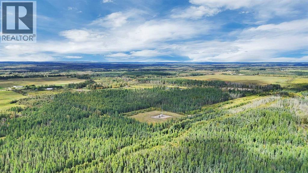 49419 B Range Road 85, Rural Brazeau County, Alberta  T7A 0C1 - Photo 35 - A2351210
