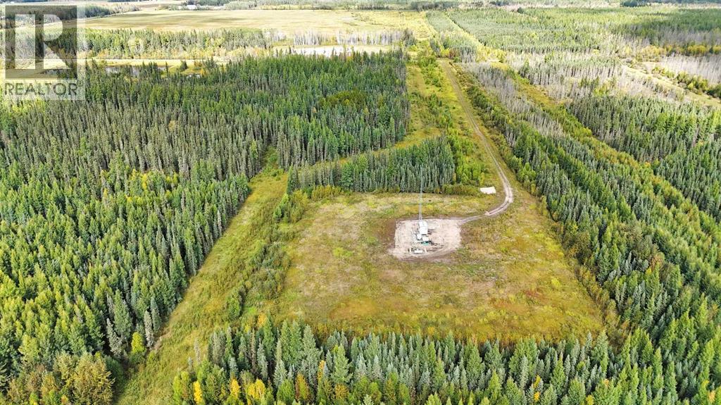 49419 B Range Road 85, Rural Brazeau County, Alberta  T7A 0C1 - Photo 36 - A2351210
