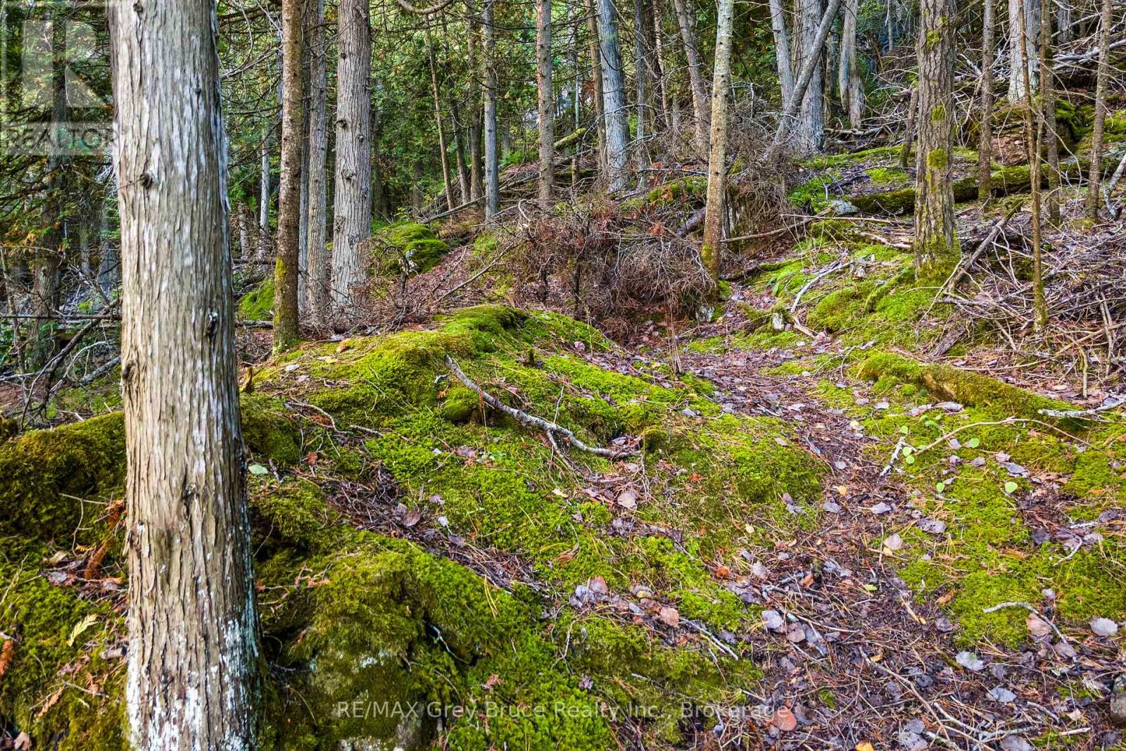 Part Lot 21 Cape Chin North Shore Road, Northern Bruce Peninsula, Ontario N0H 1W0 - Photo 10 - X13879494