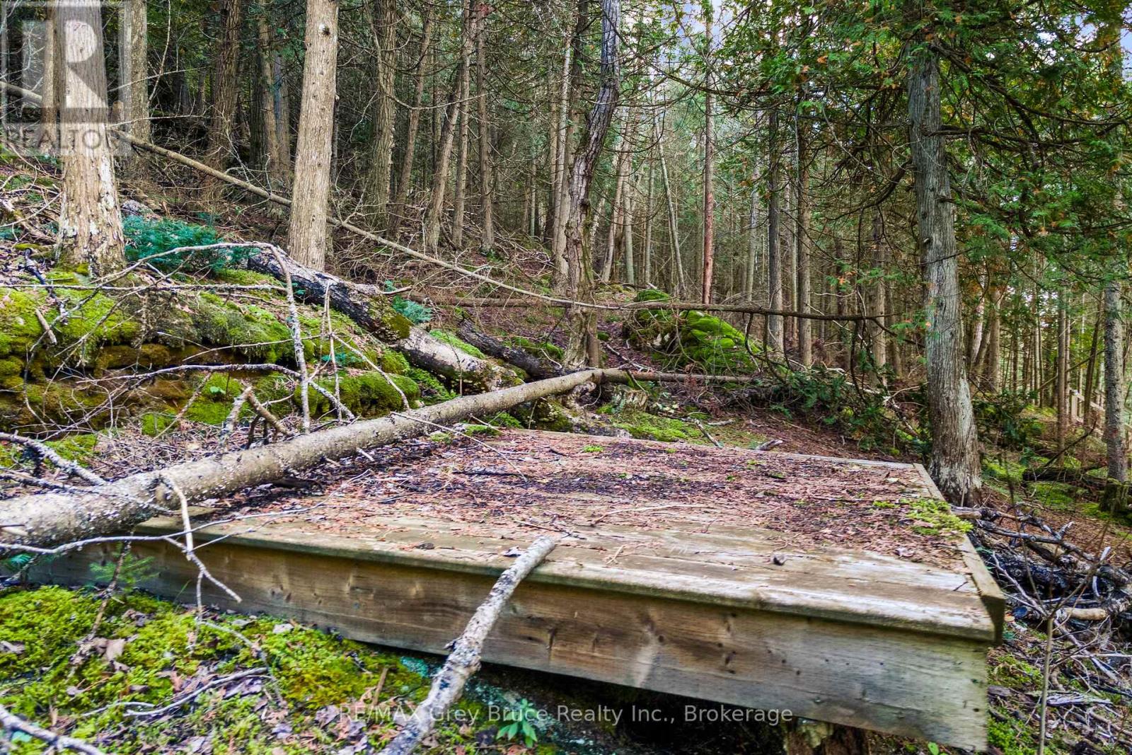 Part Lot 21 Cape Chin North Shore Road, Northern Bruce Peninsula, Ontario N0H 1W0 - Photo 13 - X13879494
