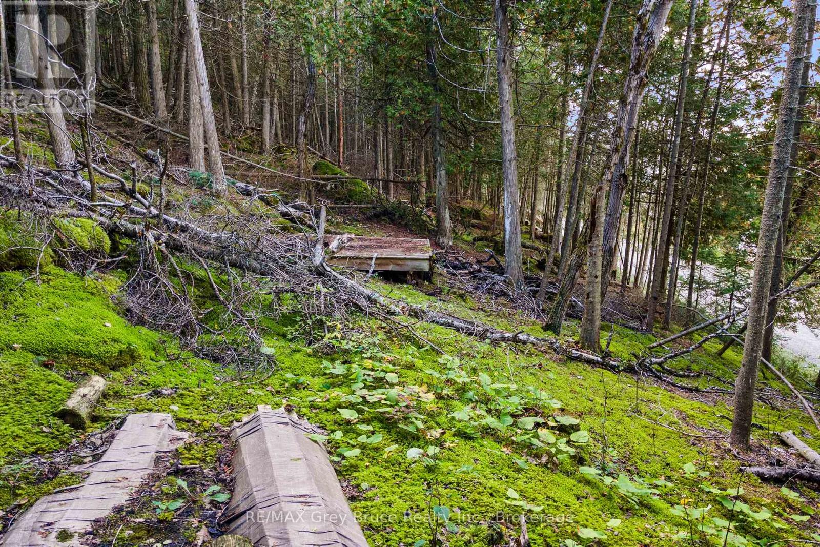 Part Lot 21 Cape Chin North Shore Road, Northern Bruce Peninsula, Ontario N0H 1W0 - Photo 14 - X13879494